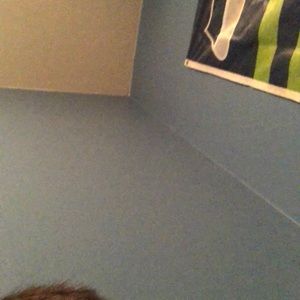 Meet your Posher, Jay